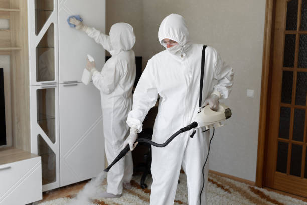 Best Home Mold Removal  in Zephyrhills West, FL